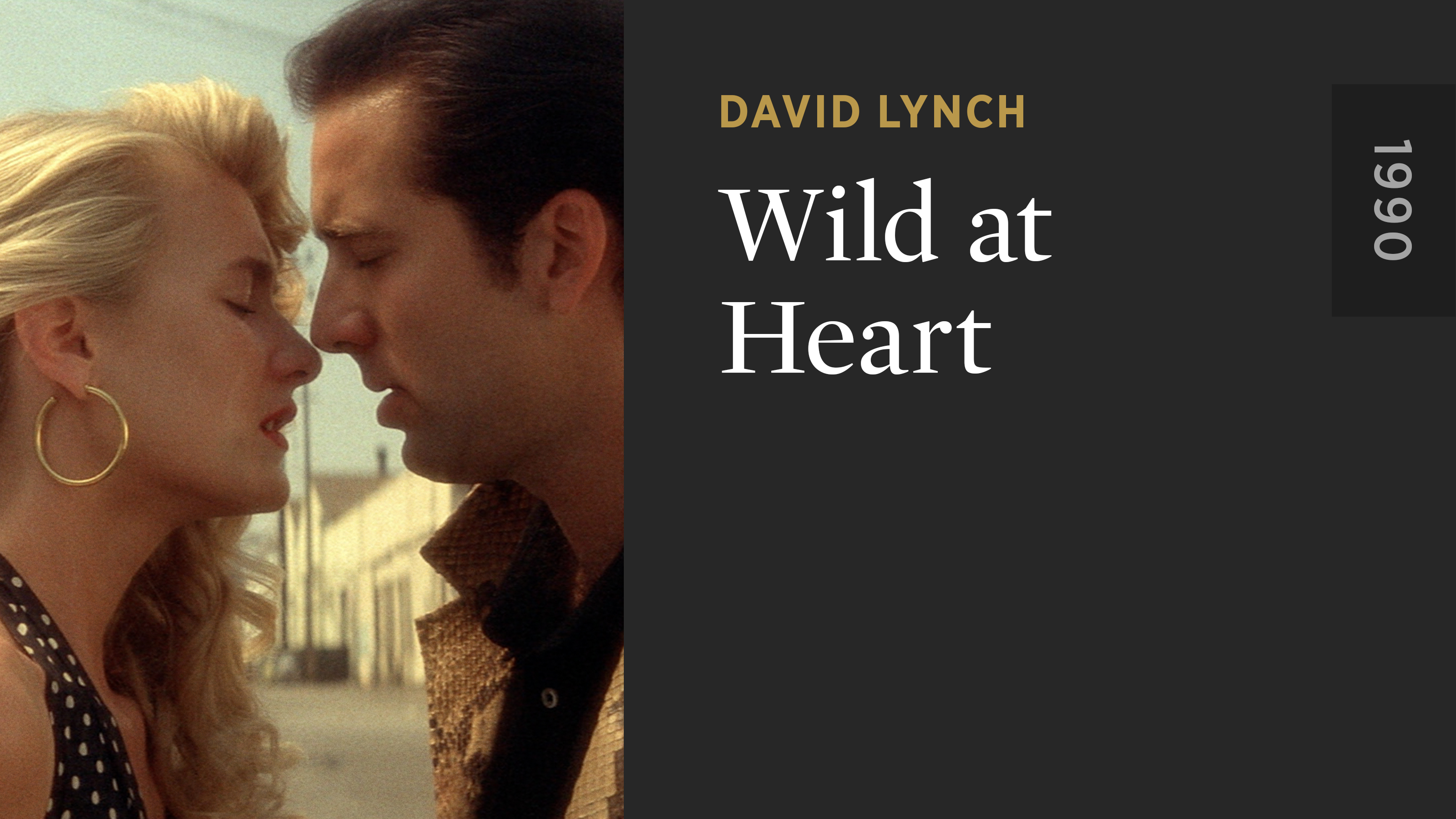 Wild at Heart