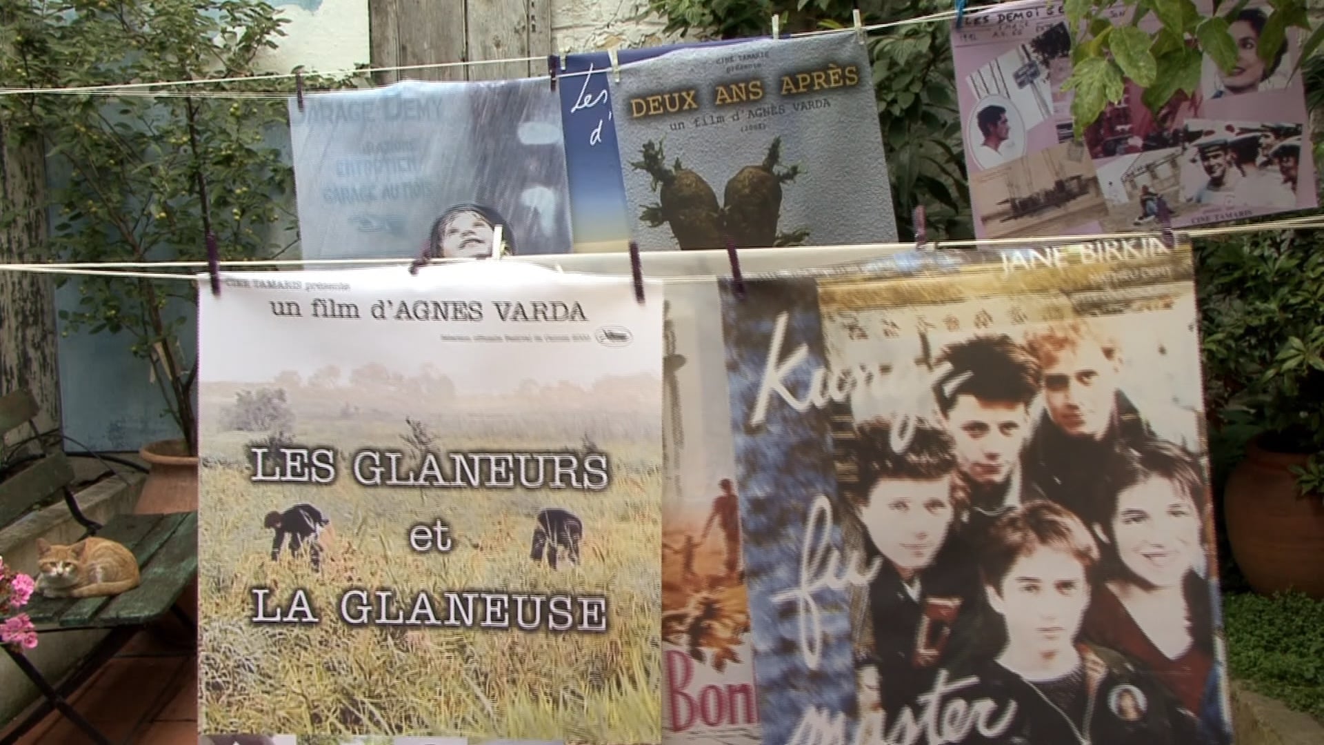 THE YOUNG GIRLS TURN 25 Introduction