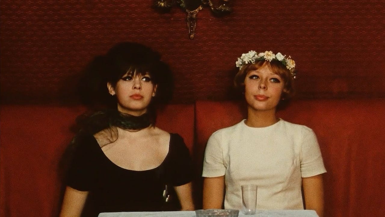 DAISIES Commentary The Criterion Channel