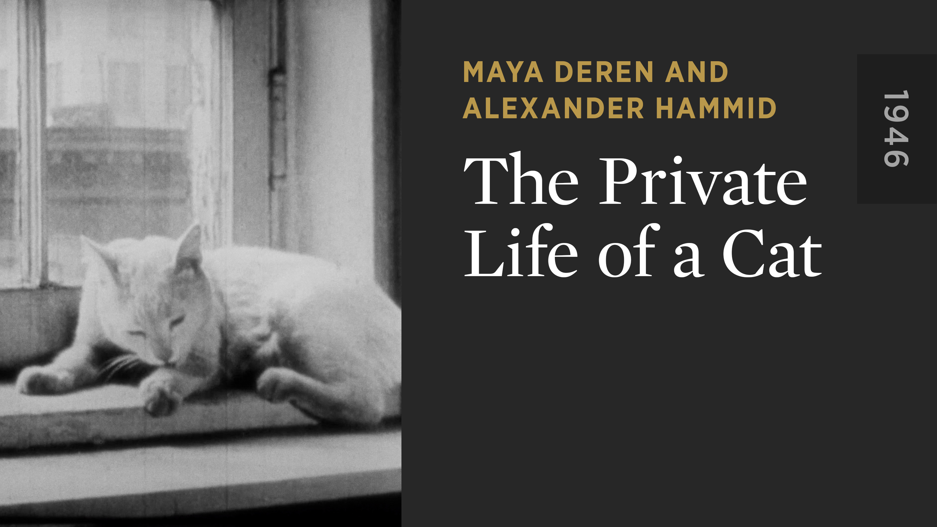 The Private Life of a Cat