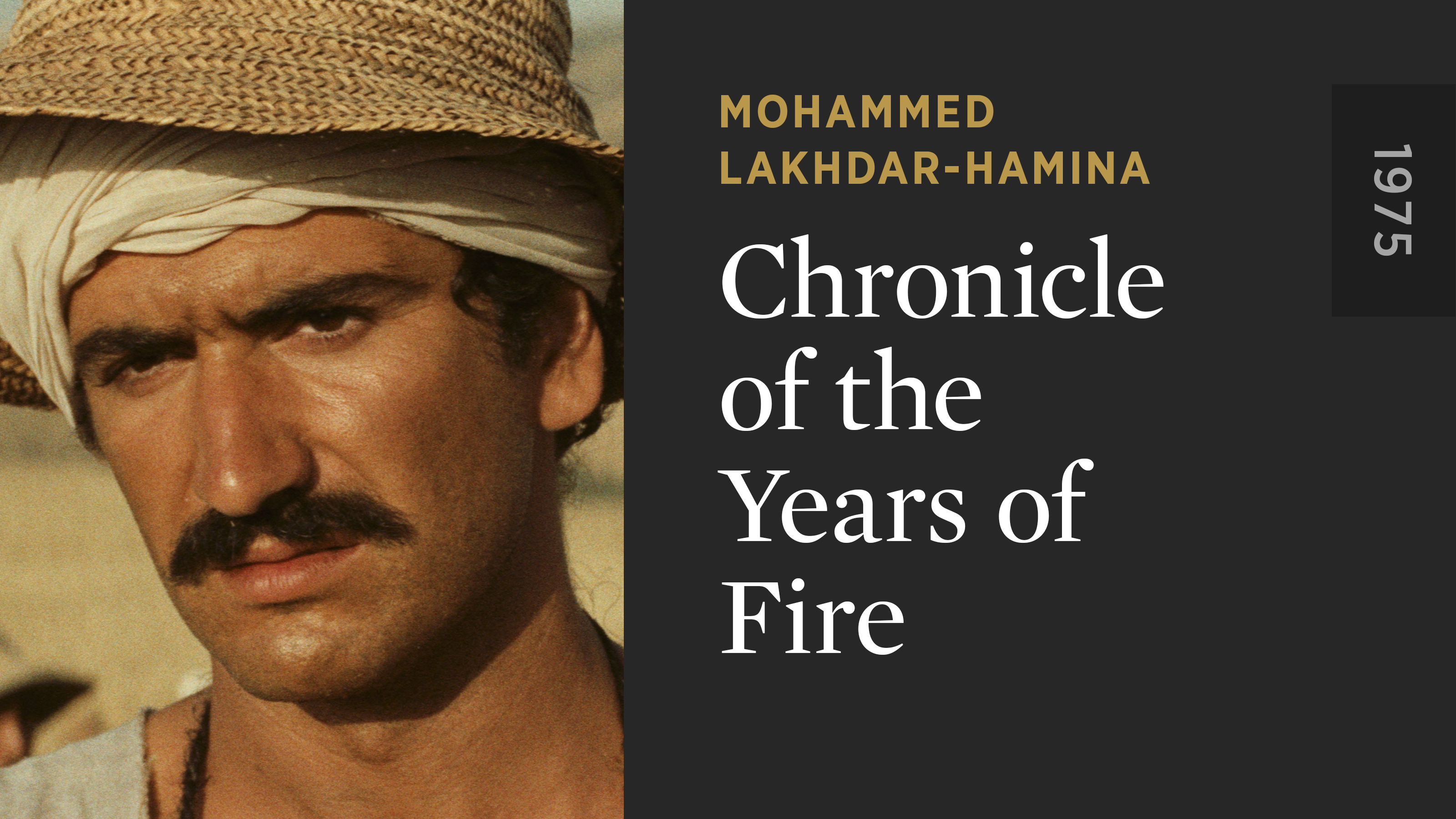 Chronicle of the Years of Fire