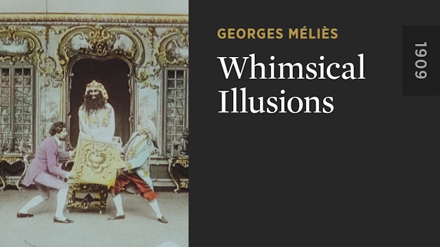 Whimsical Illusions