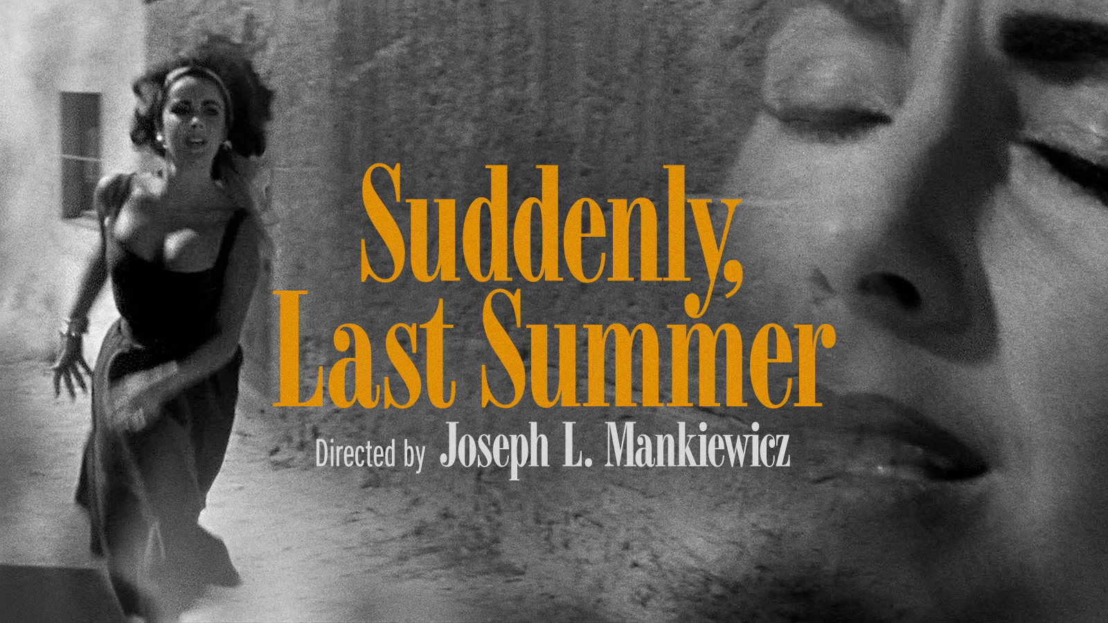 Suddenly, Last Summer