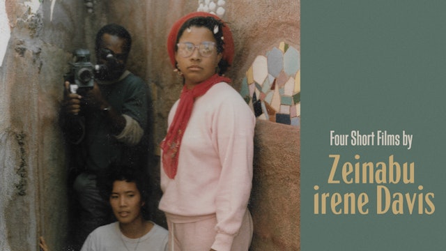 Four Short Films by Zeinabu irene Davis