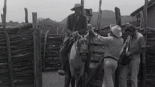 Memória do Cangaço