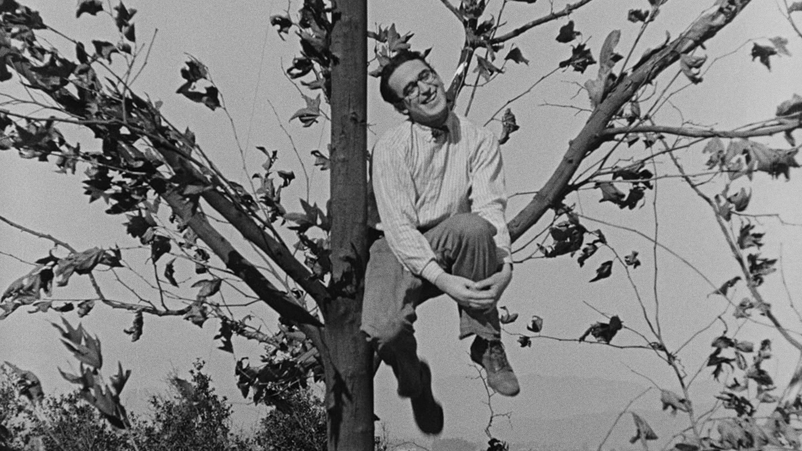 THE KID BROTHER Commentary