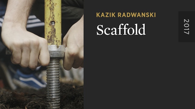 Scaffold