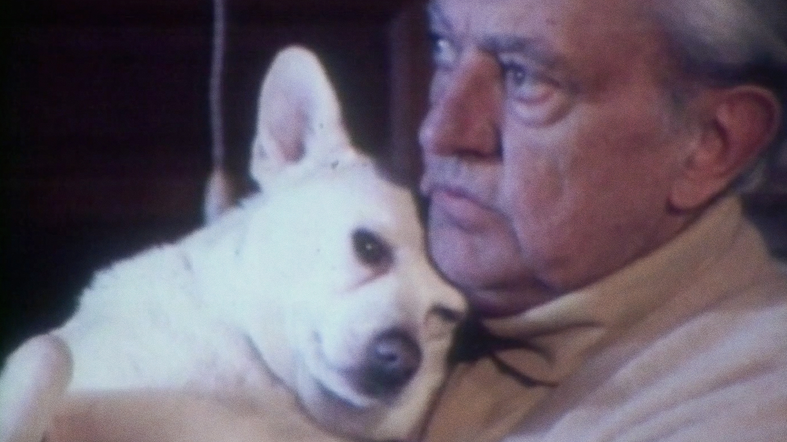 30 millions d’amis: Le Hasard de Jacques Tati