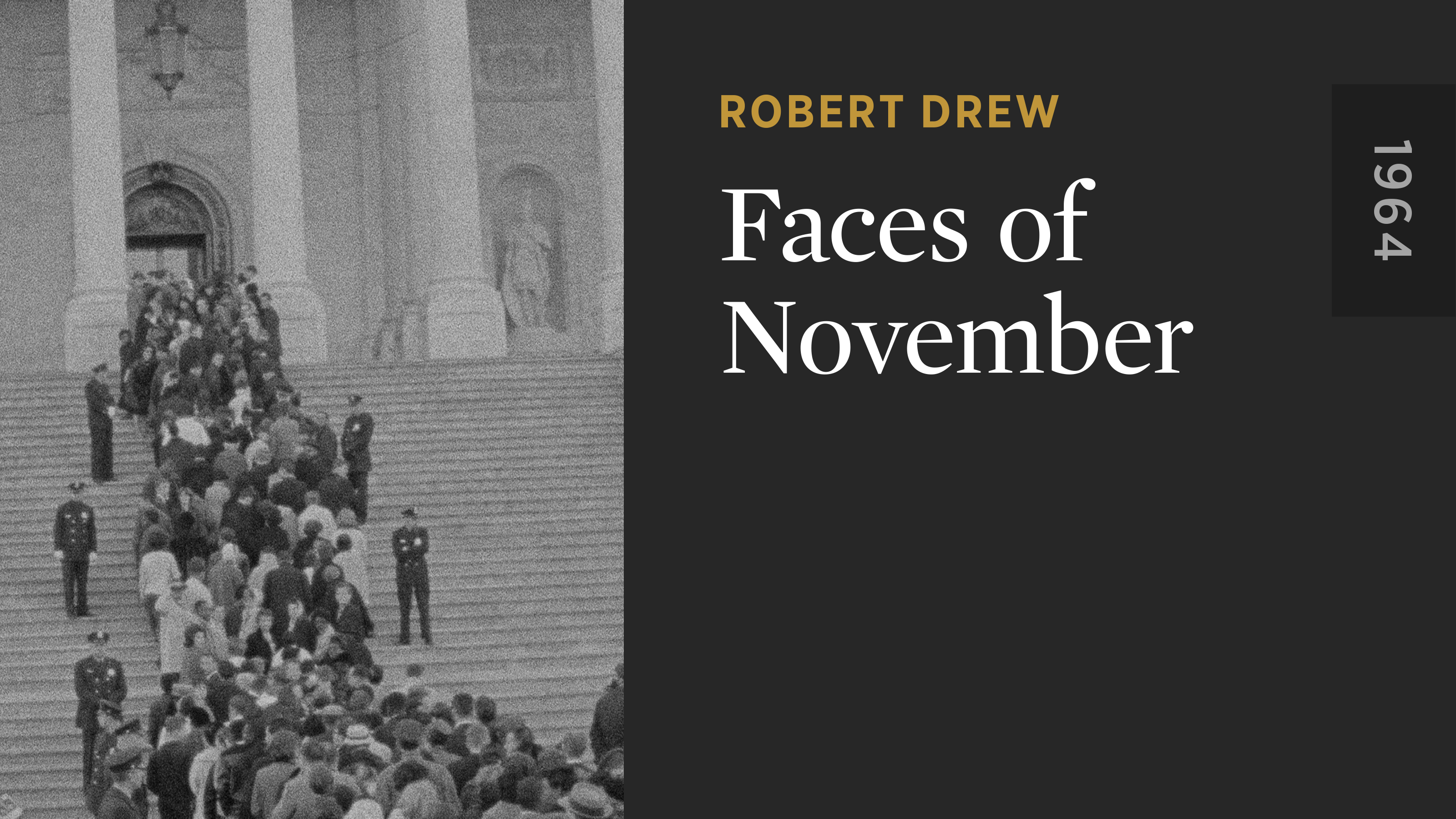 Faces of November