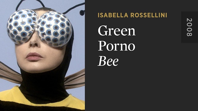 GREEN PORNO: Bee