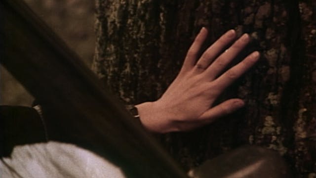 THE DOUBLE LIFE OF VÉRONIQUE: U.S. En...