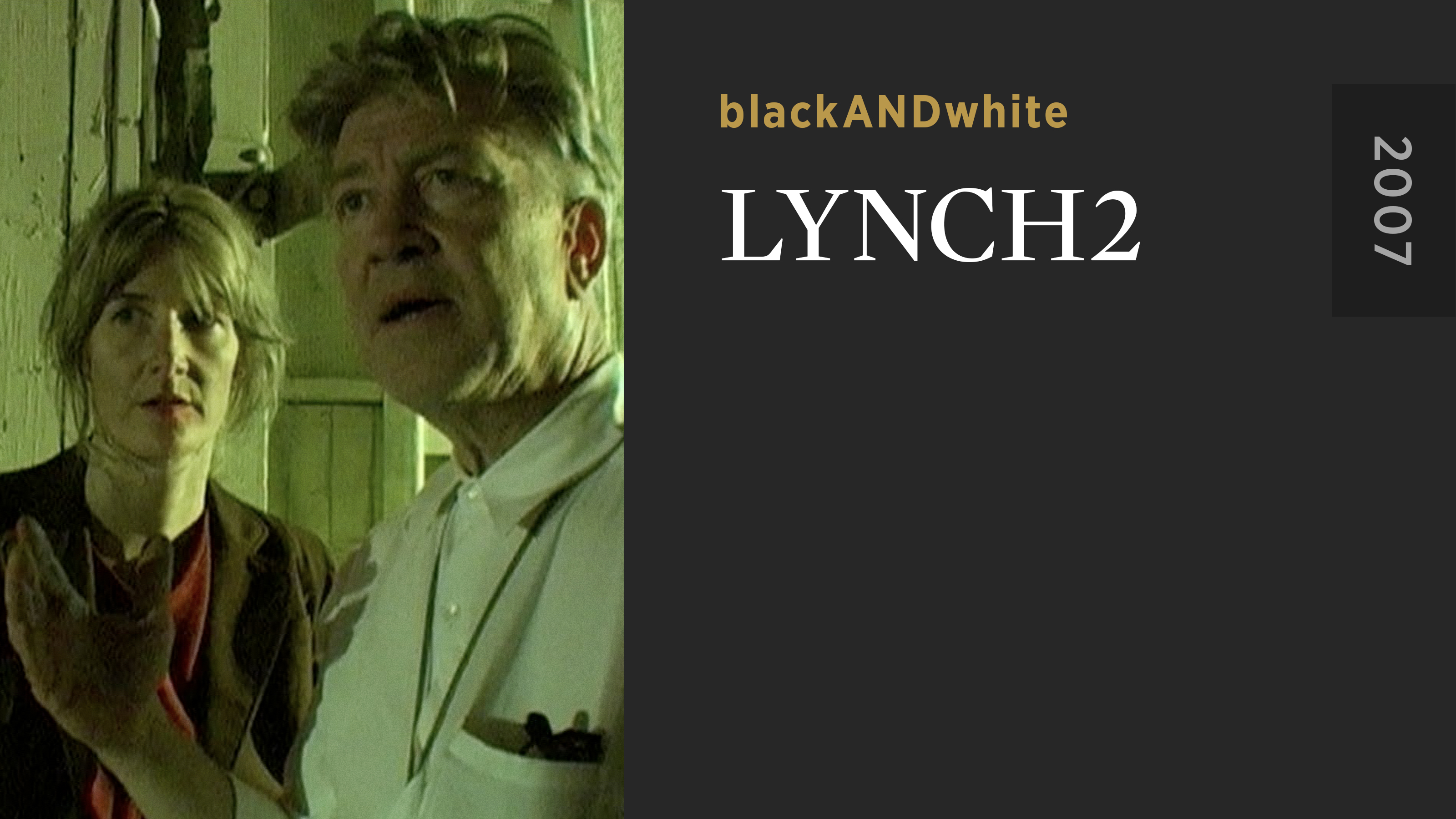 洋画・外国映画 DAVID LYNCH INSTALLATION INLAND EMPIRE + Inland Empire | Lynchverse Wiki | Fandom