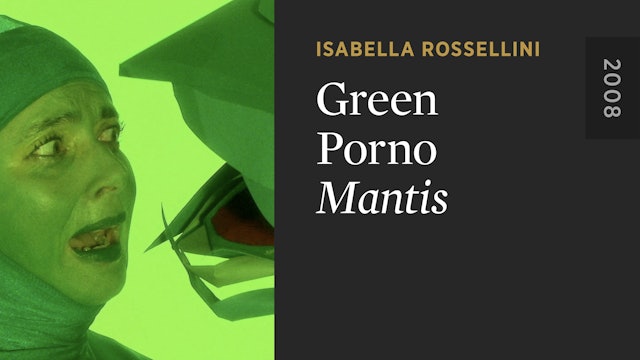 GREEN PORNO: Mantis