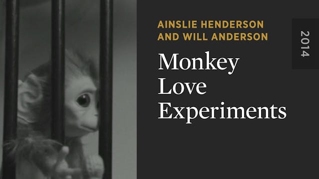 Monkey Love Experiments