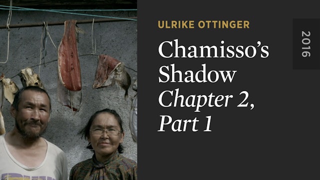 Chamisso’s Shadow: CHAPTER 2, PART 1
