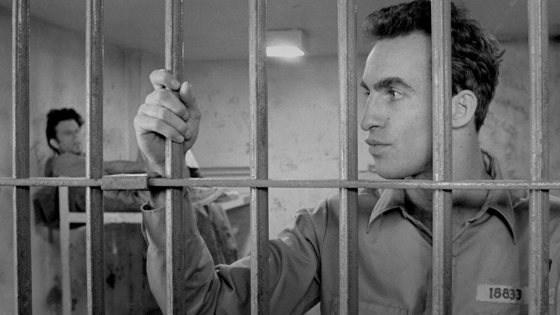 Phone Calls: John Lurie