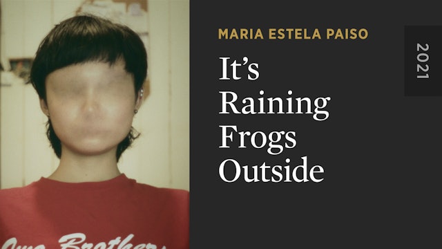 It’s Raining Frogs Outside