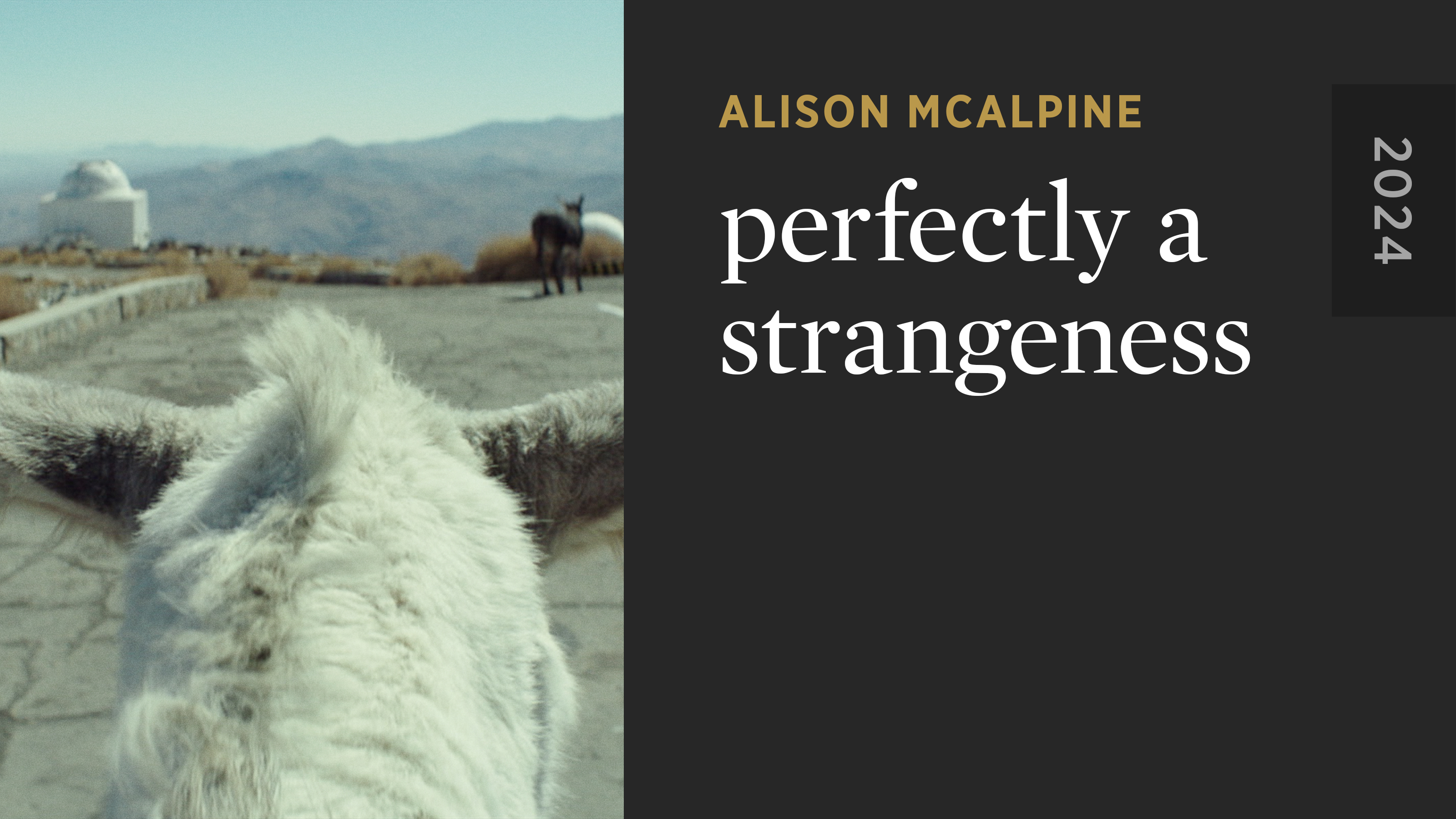 perfectly a strangeness