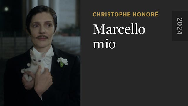 Marcello mio