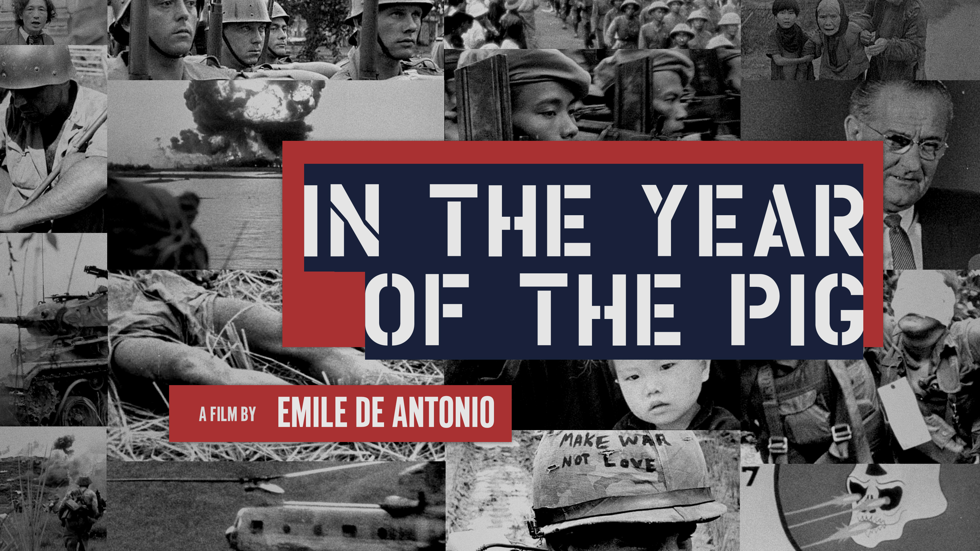 In the Year of the Pig