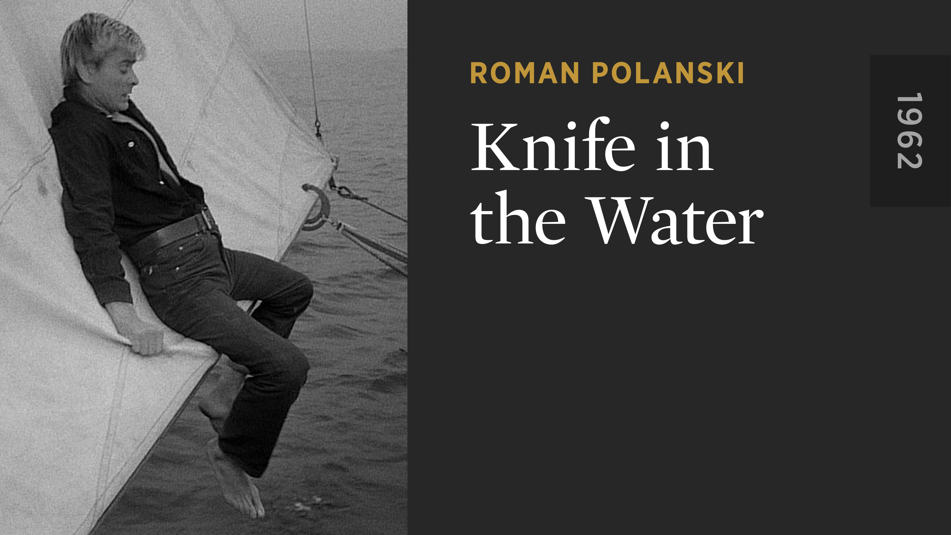 the water knife novel