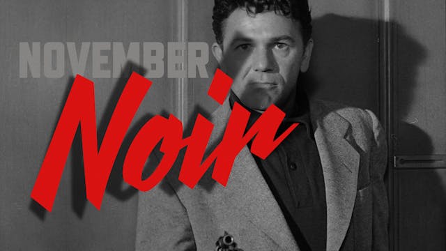 November Noir Teaser