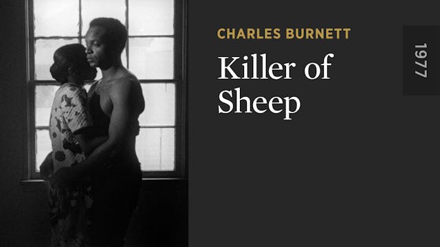 Killer of Sheep