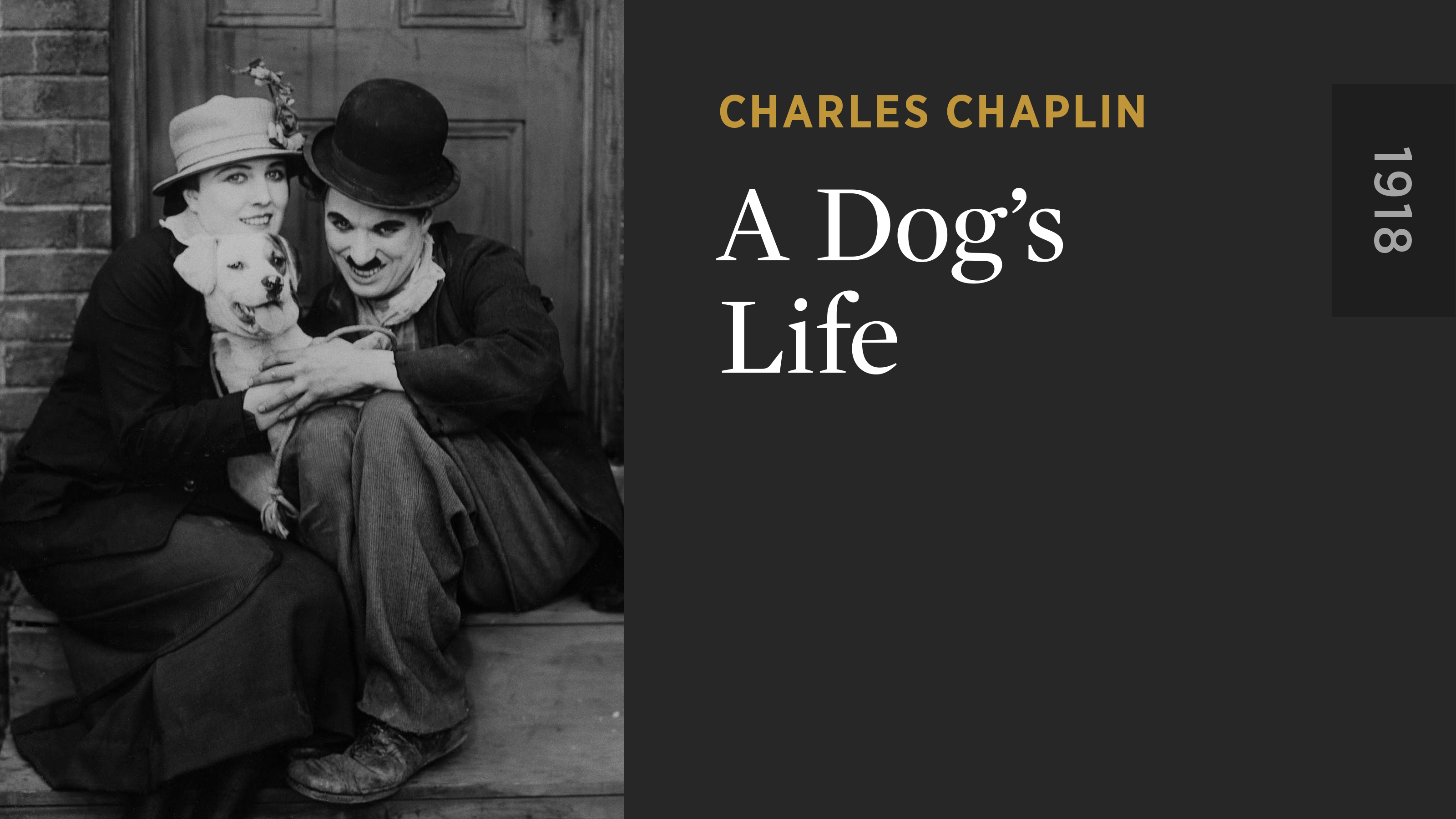 A Dog’s Life - Directed By Charlie Chaplin - The Criterion Channel