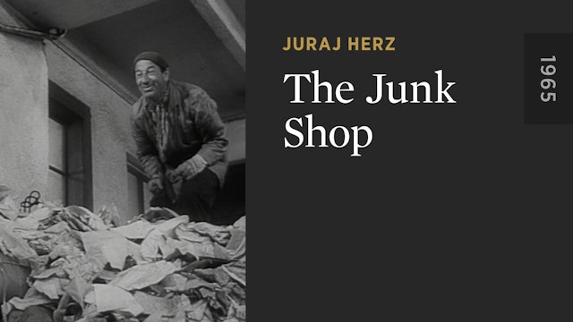 The Junk Shop