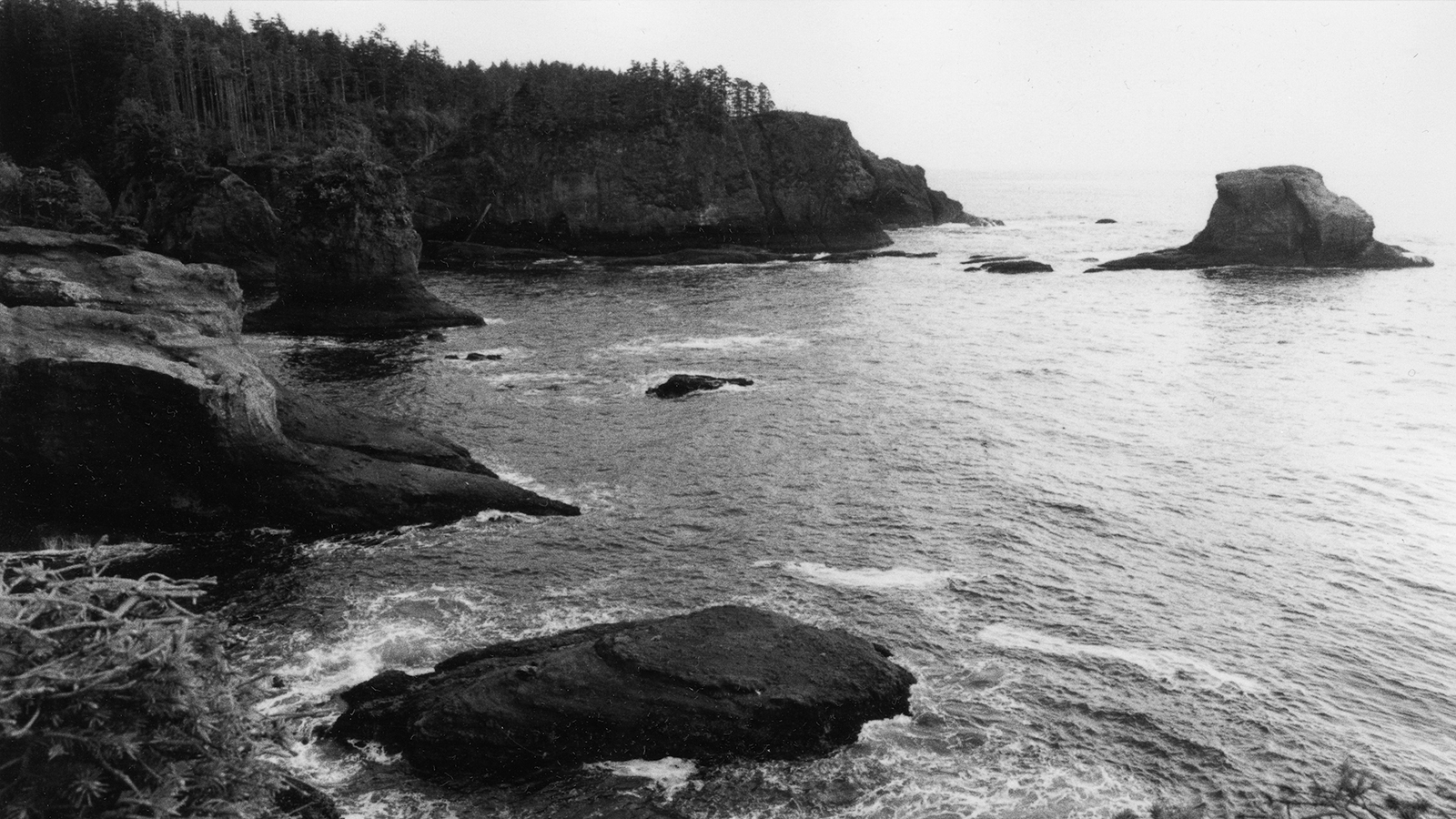 Reading Blake: Alfred Molina