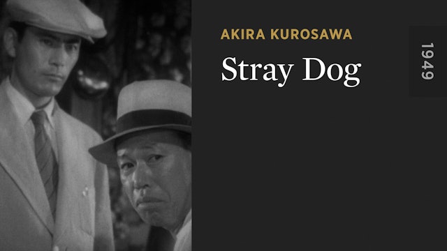 Stray Dog - The Criterion Channel