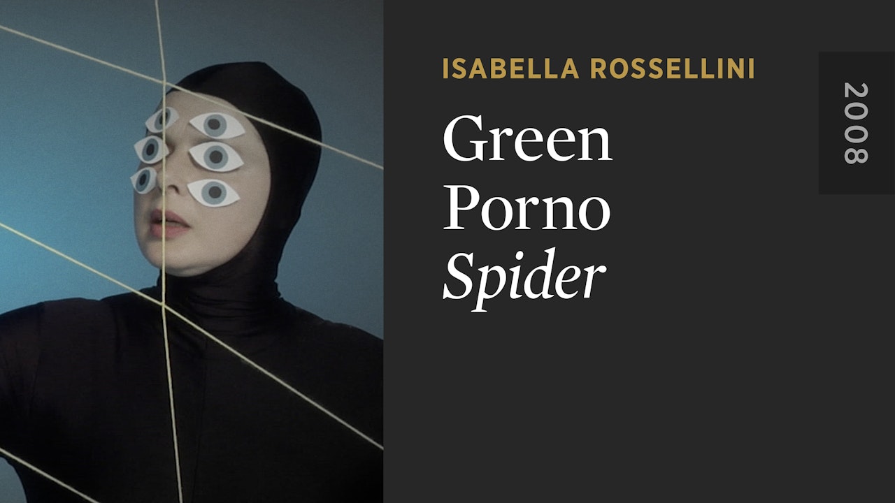 GREEN PORNO: Spider