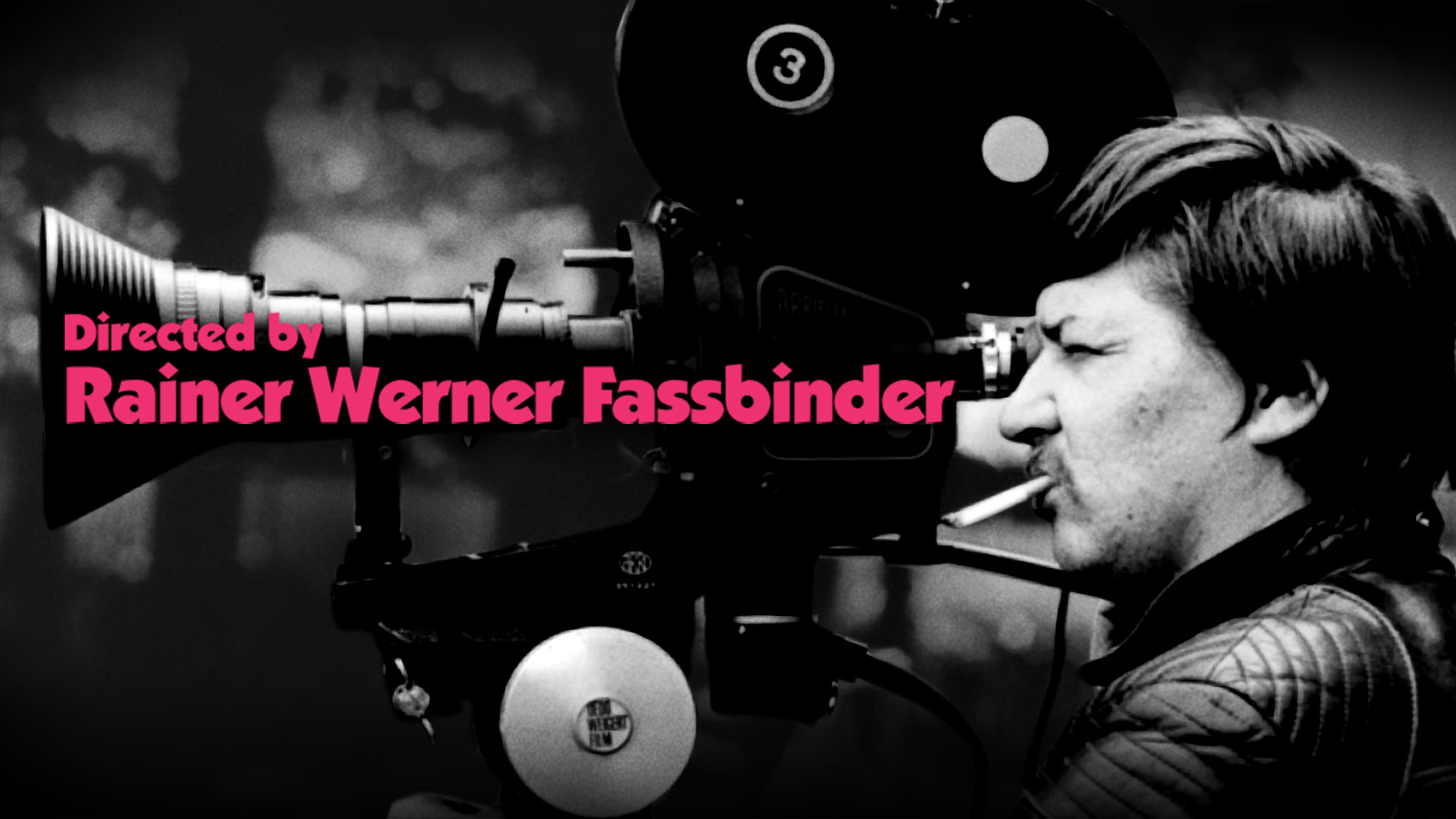 Rainer werner fassbinder wiki picture