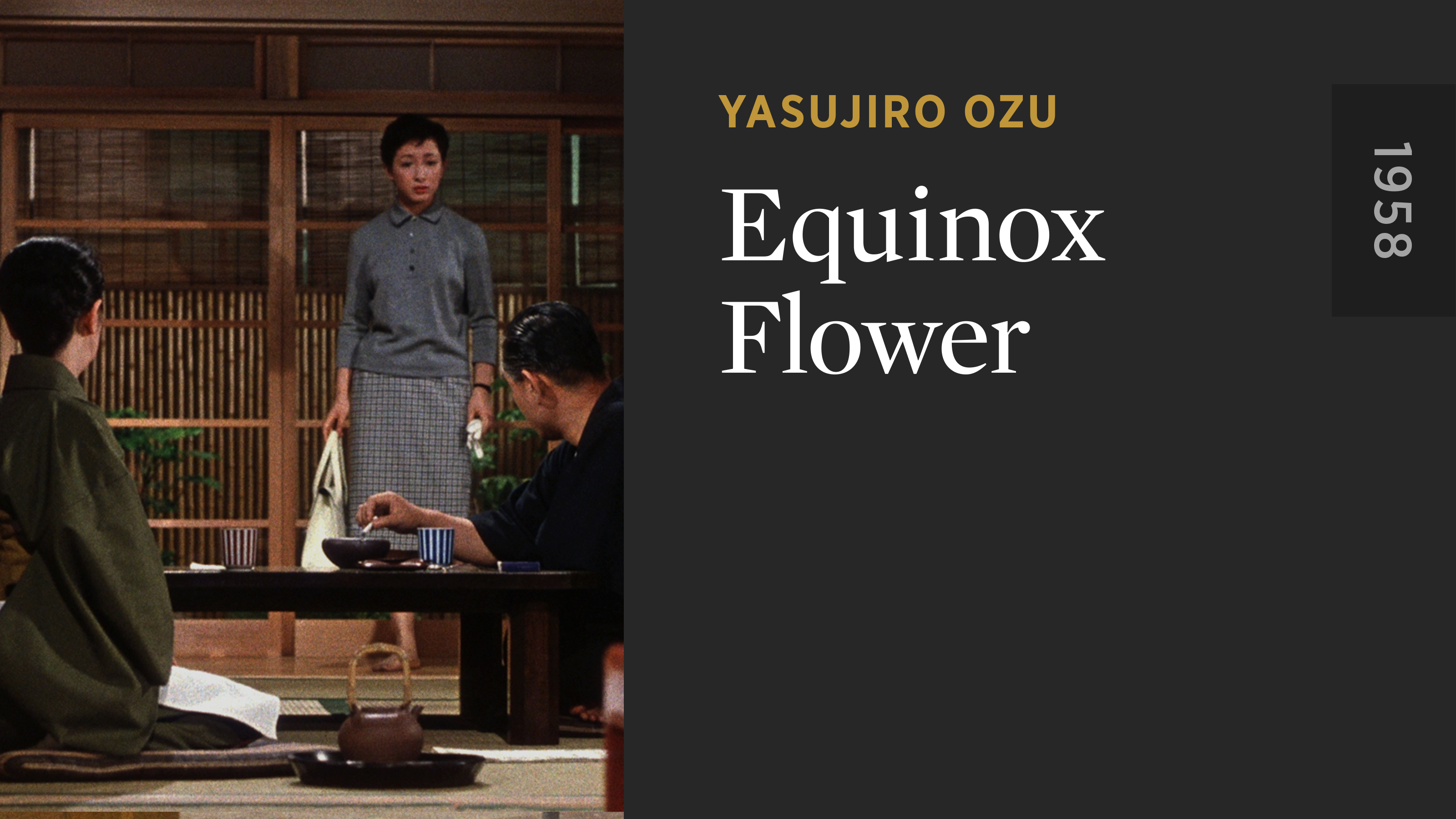 Equinox Flower