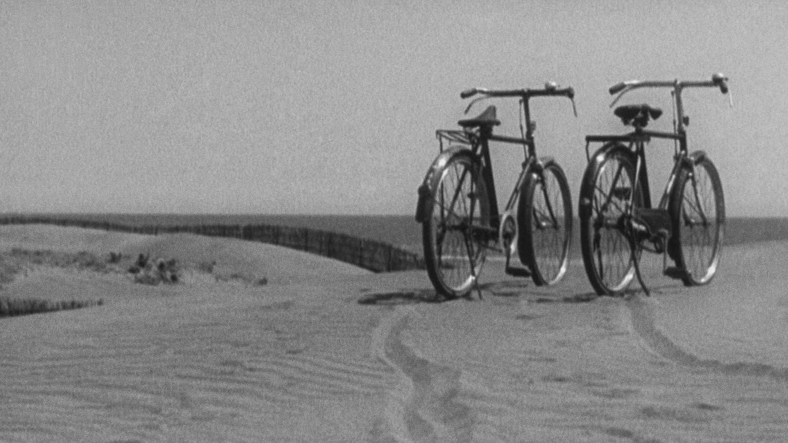 LATE SPRING Commentary