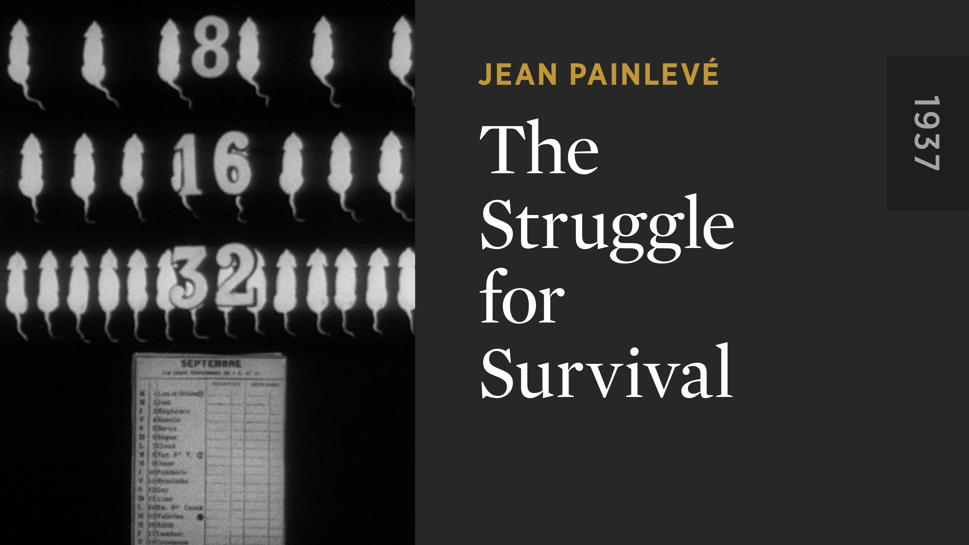 The Struggle for Survival