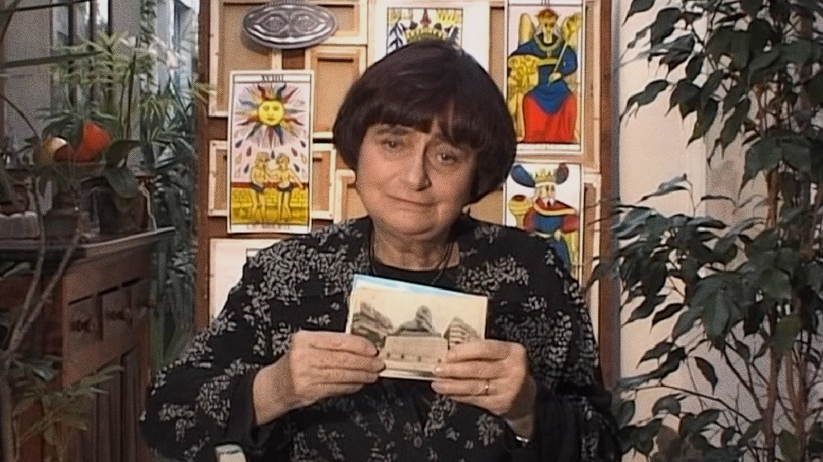 LE LION VOLATIL Introduction