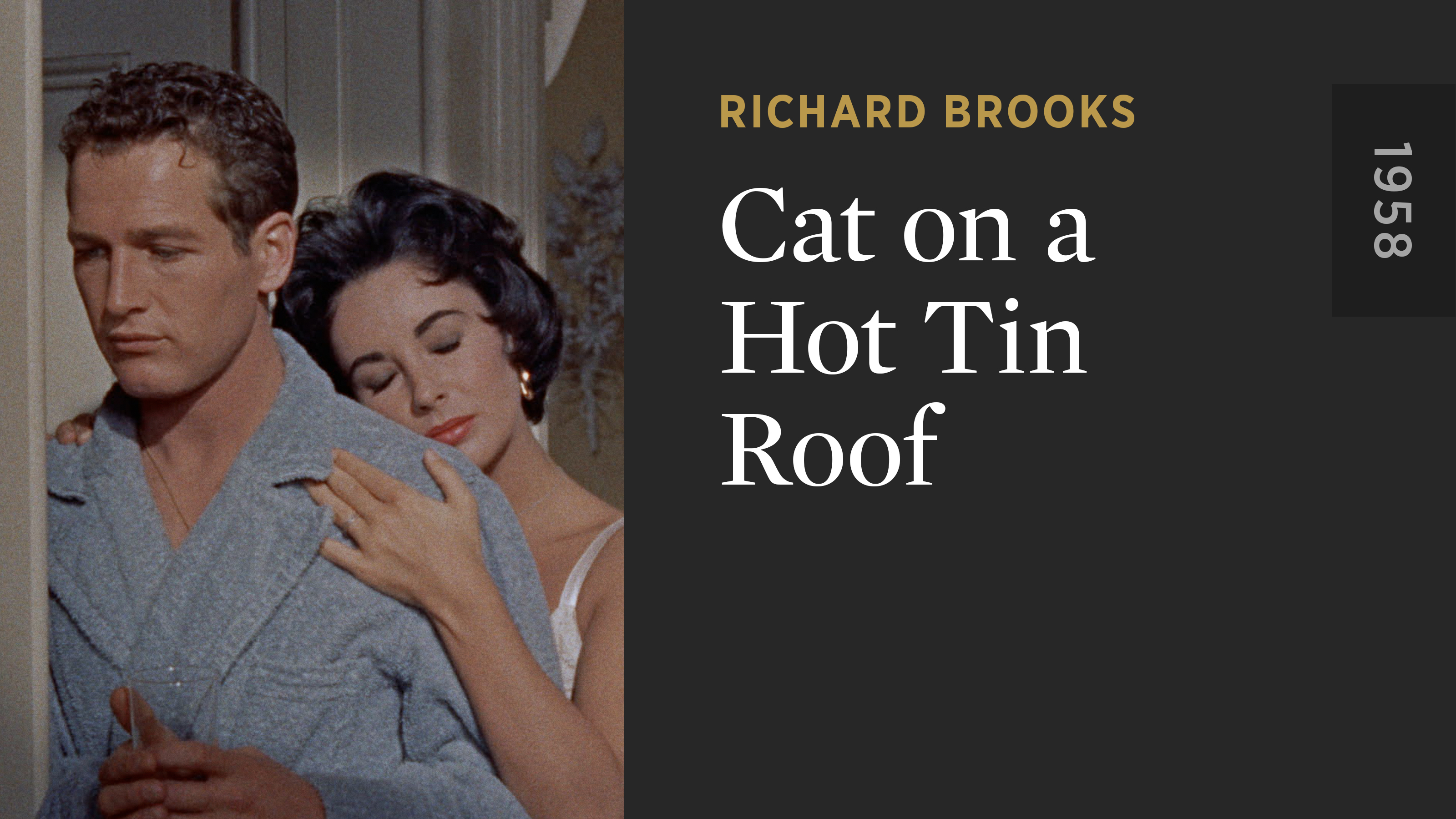 Cat on a Hot Tin Roof