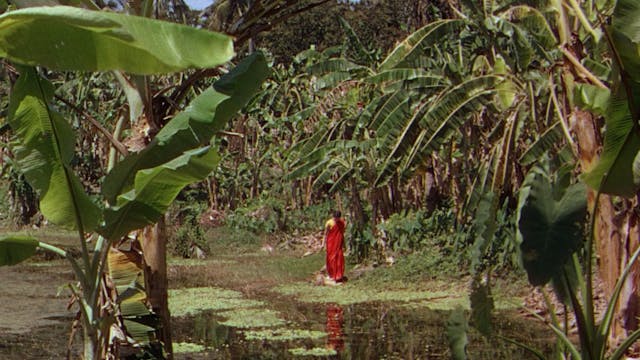 Jean Renoir: A Passage Through India