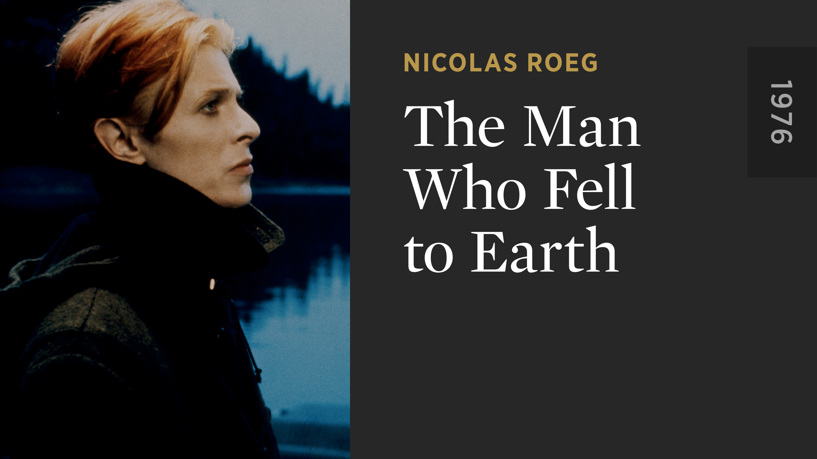 The Man Who Fell to Earth