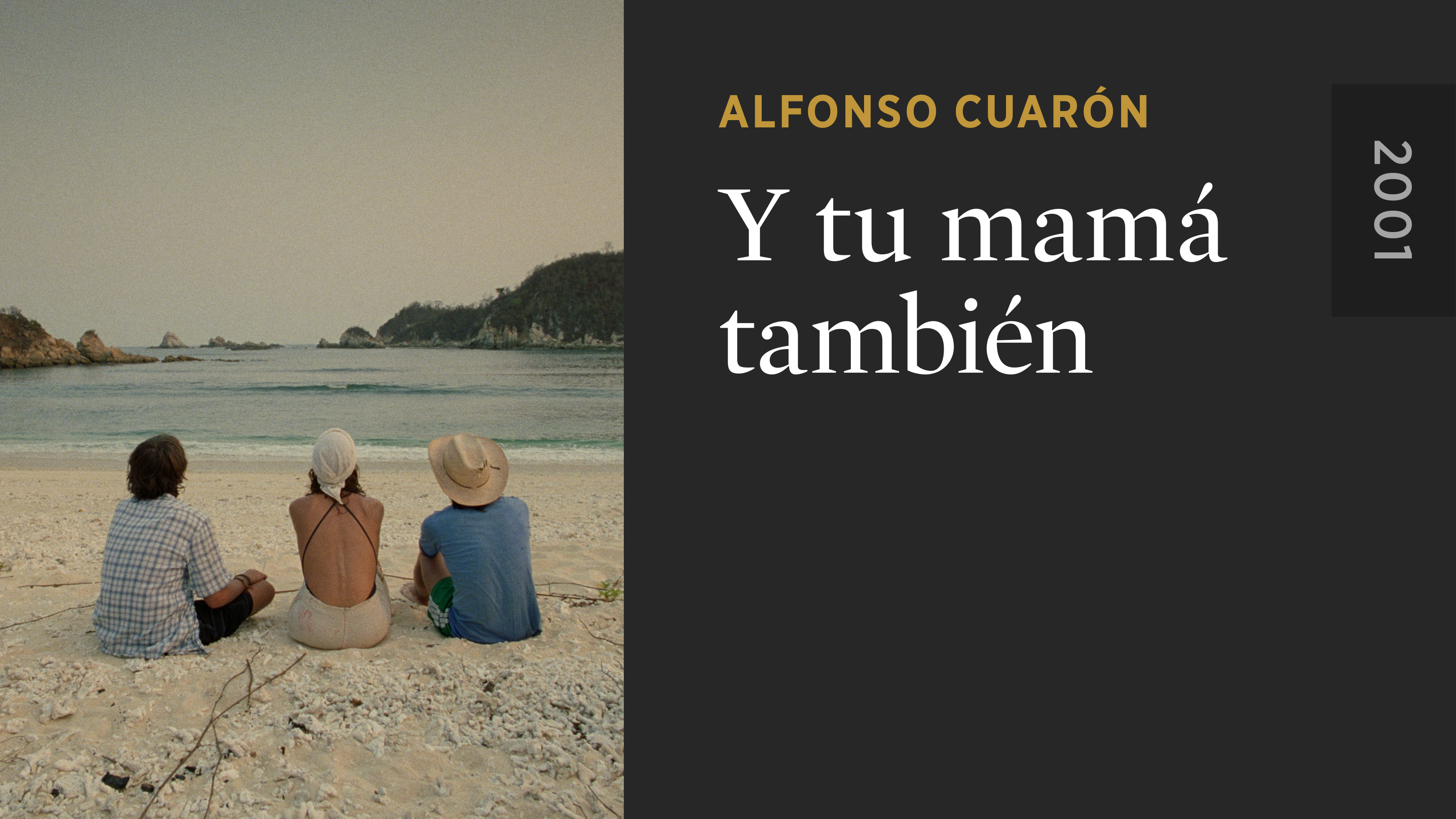 Y Tu Mamá También The Criterion Channel