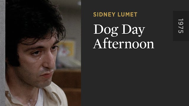 Dog Day Afternoon