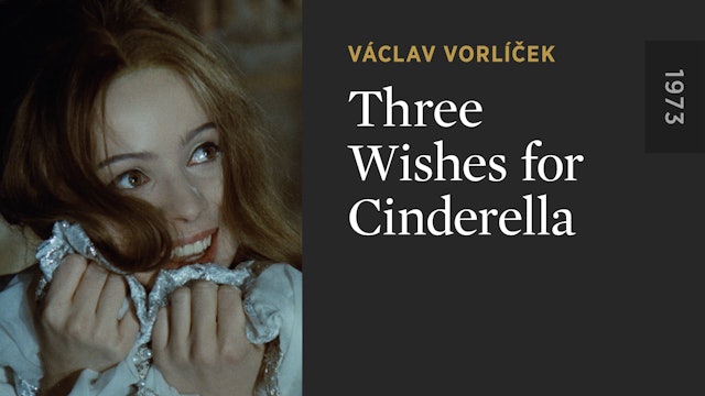 Three Wishes for Cinderella
