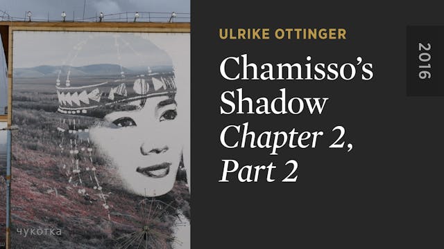 Chamisso’s Shadow: CHAPTER 2, PART 2