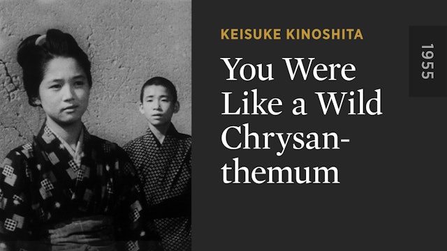 You Were Like a Wild Chrysanthemum