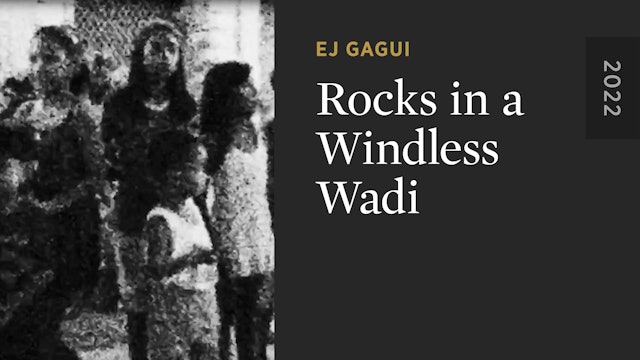 Rocks in a Windless Wadi