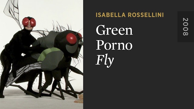 GREEN PORNO: Fly