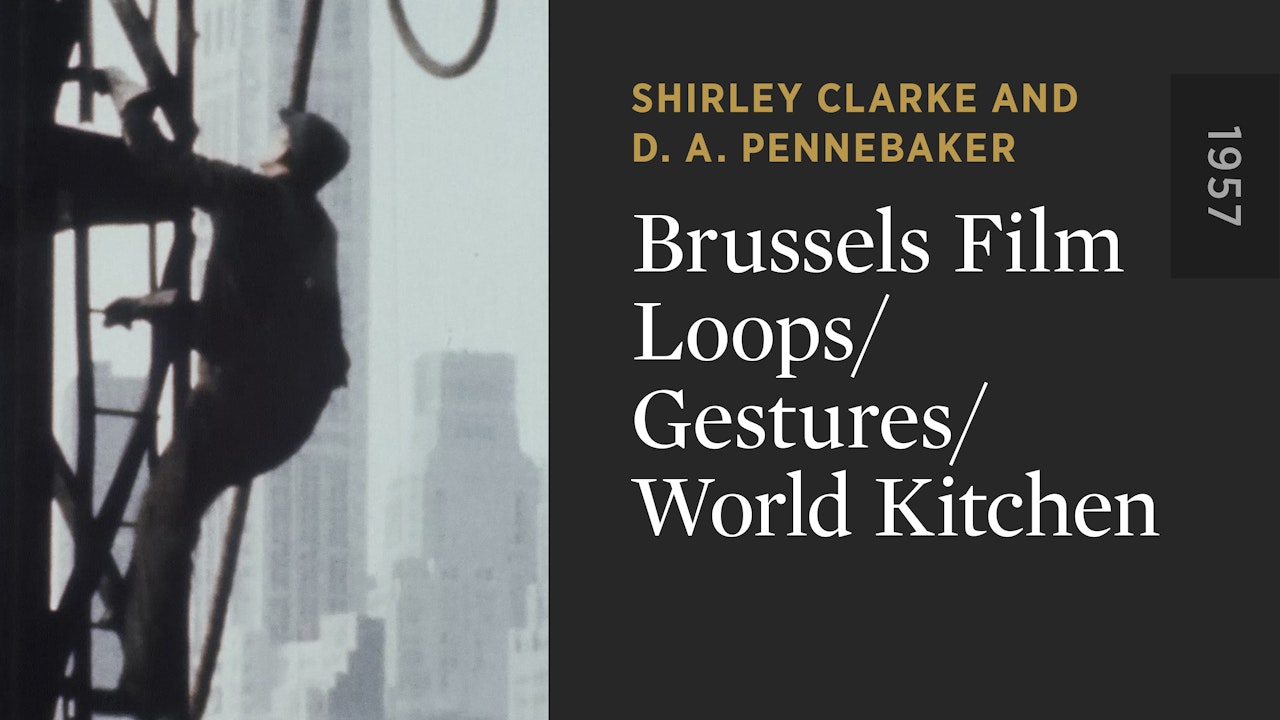 Brussels Film Loops/Gestures/World Kitchen