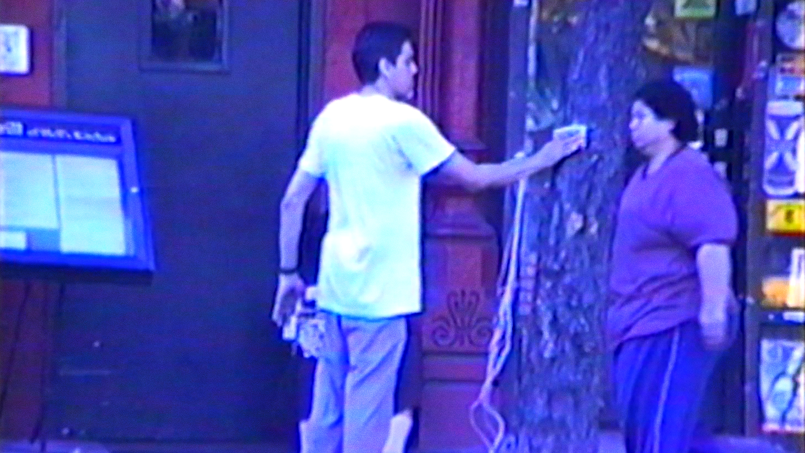 FROWNLAND Director's Statement, 2008