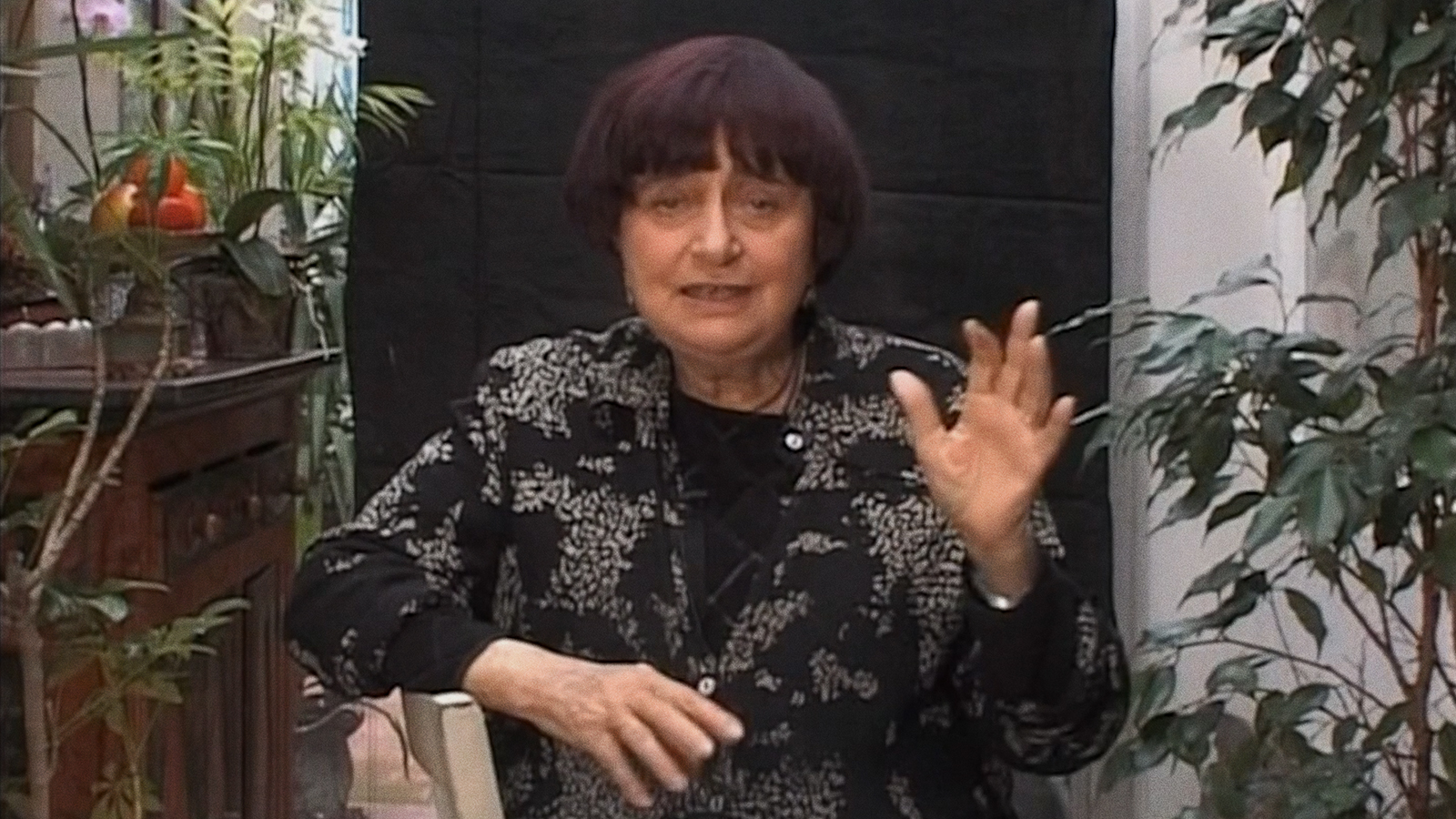 BLACK PANTHERS Introduction